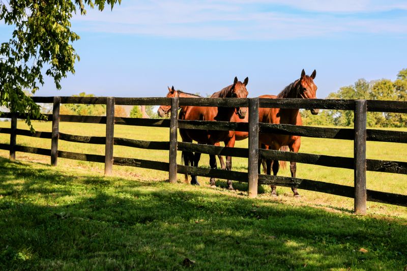 Ranch-Style Fence